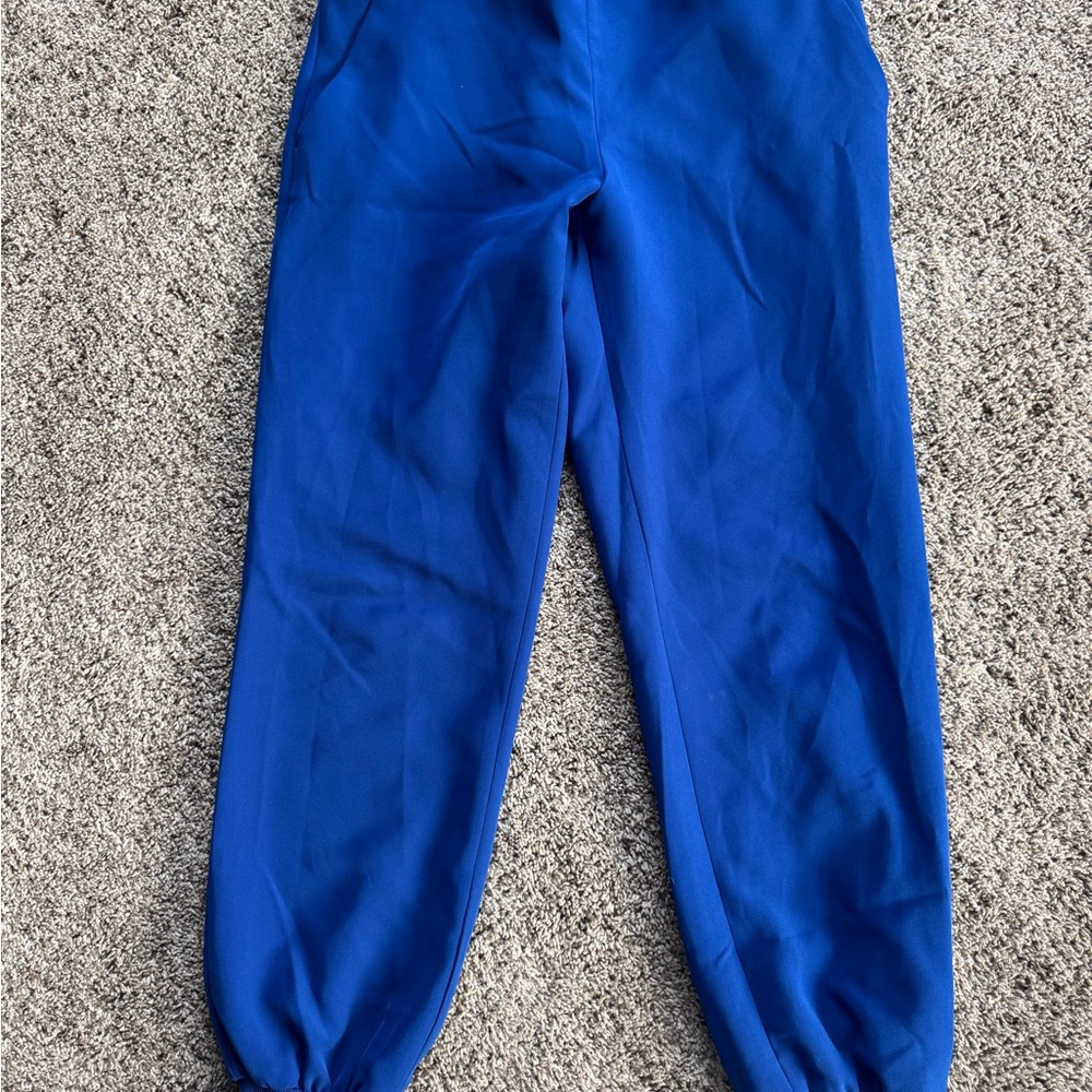Express Royal Blue Joggers